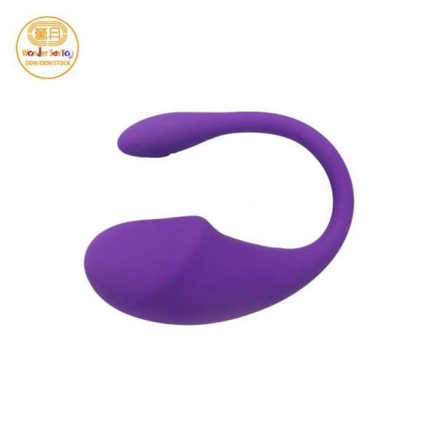 SKU-01-Purple remote control vibrator 800X800