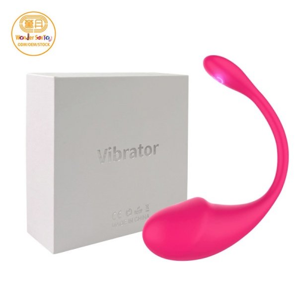 SKU-01-rose red remote control vibrator with box 800X800 SKU-01-rose red remote control vibrator with box 800X800