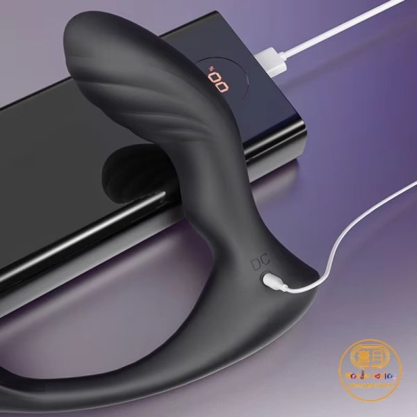 Details 08 USB rechargeable Prostate Massager Remote Wireless Anal Vibrator Butt Plug Details 08 USB rechargeable Prostate Massager Remote Wireless Anal Vibrator Butt Plug
